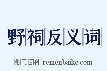 野祠反义词是什么意思的图片